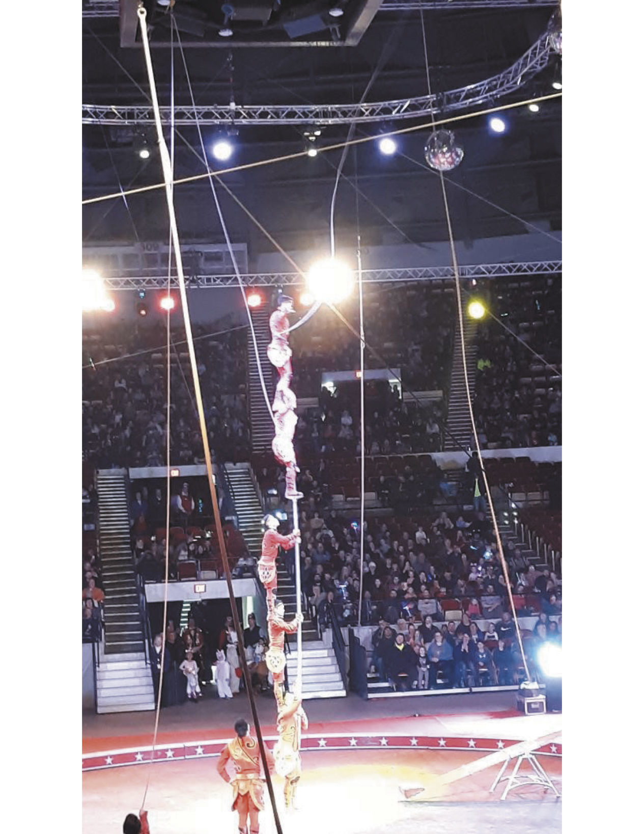 A day at the circus